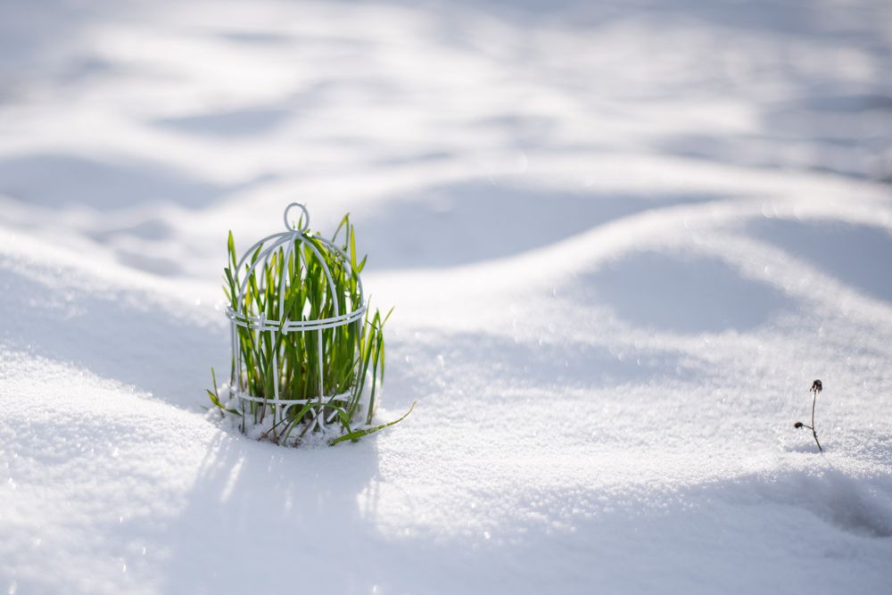 Photograph by Прокошева Екатерина