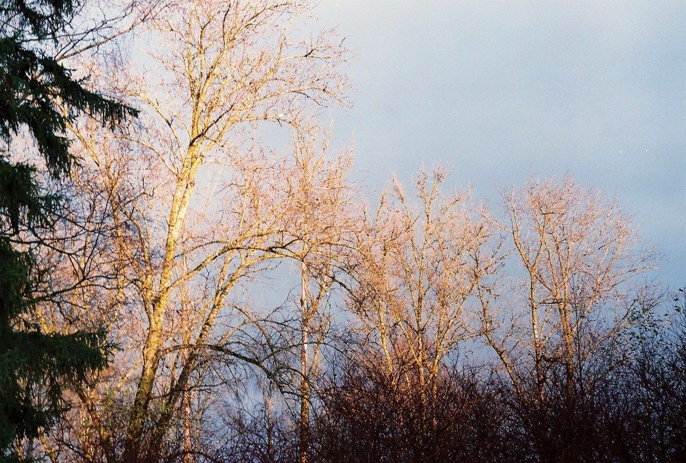 Скоро весна.