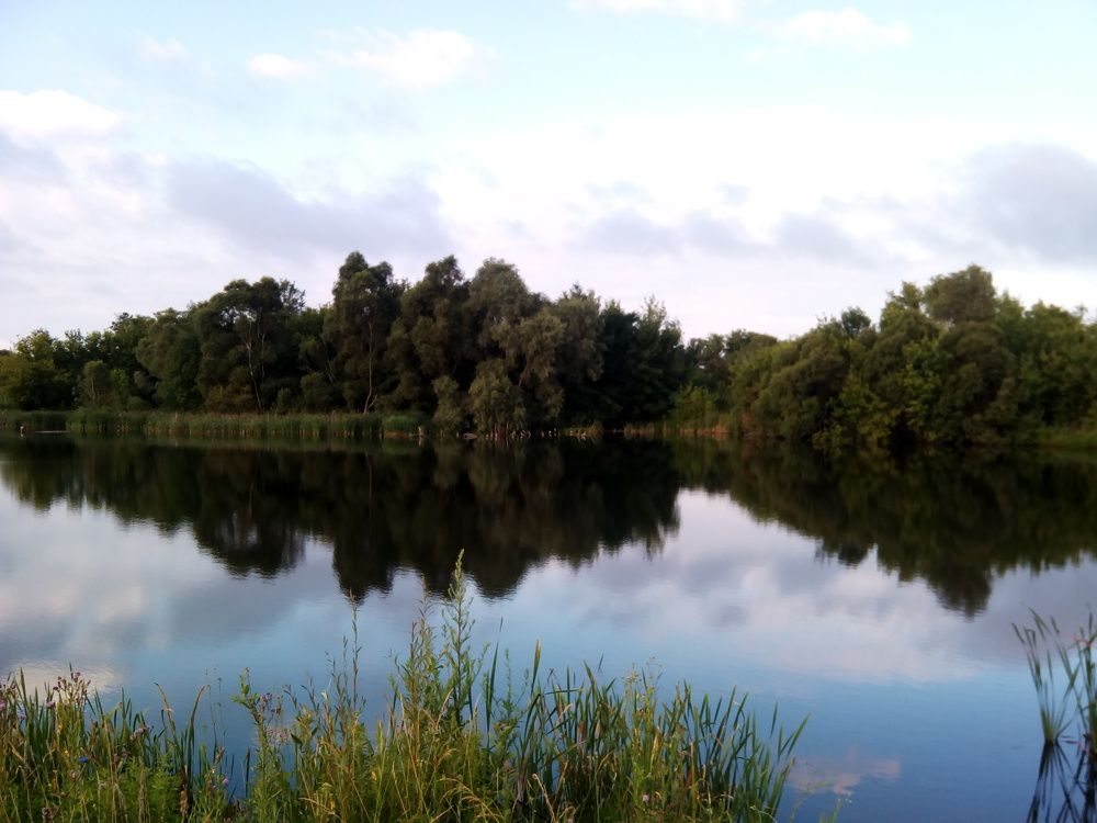 Затерянный рай