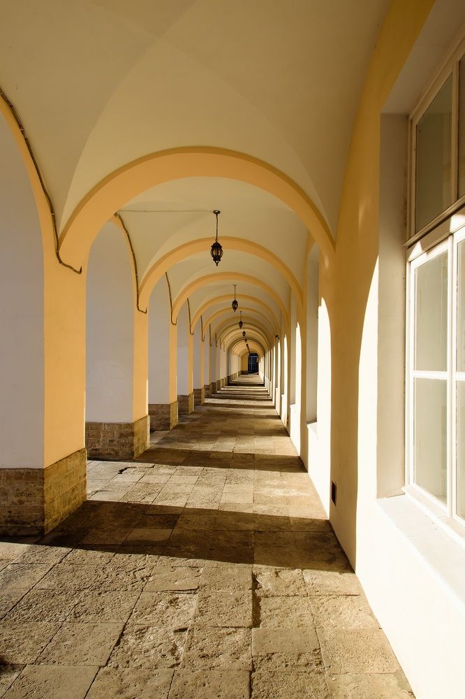 Фотография автора Андрей Симонов