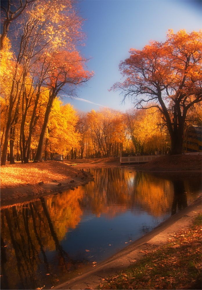 осенний денёк