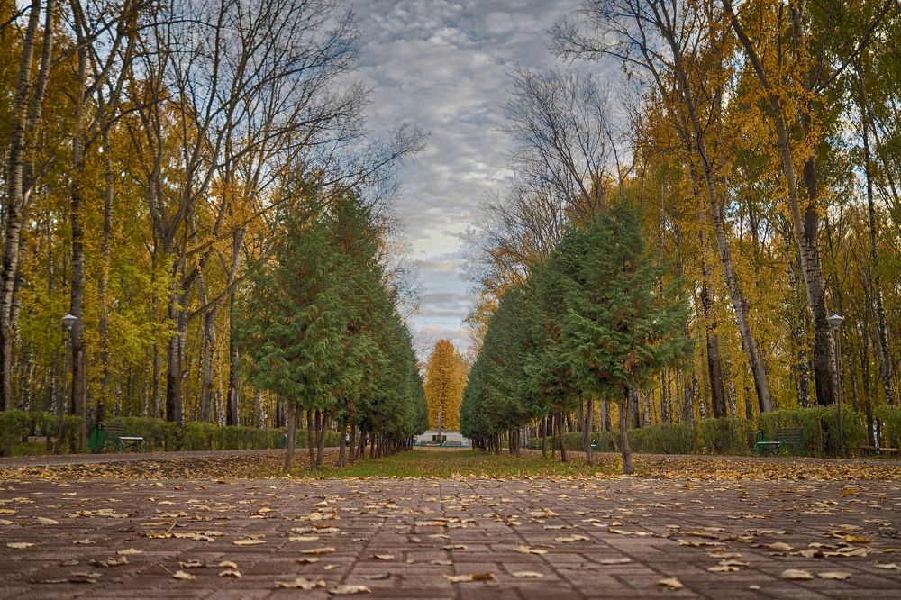 Старый парк