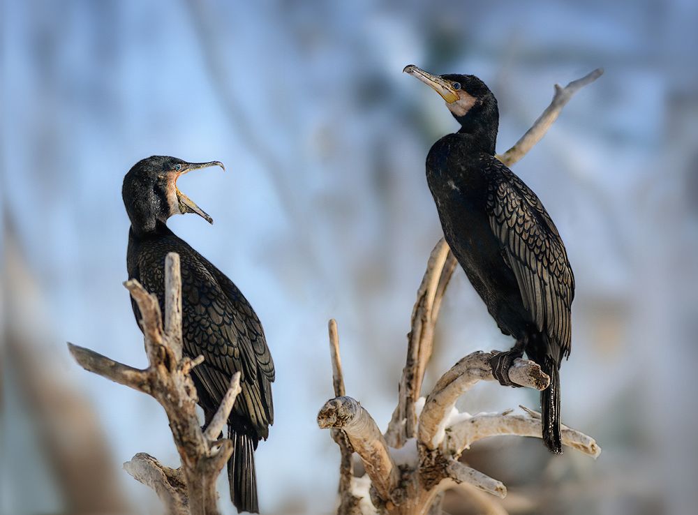 Не может быть!