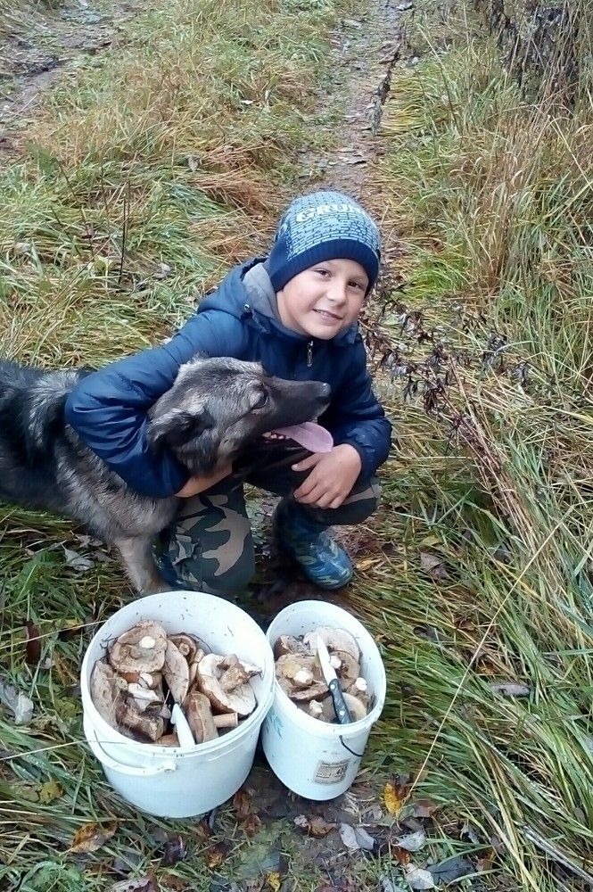 Мальчик и собака