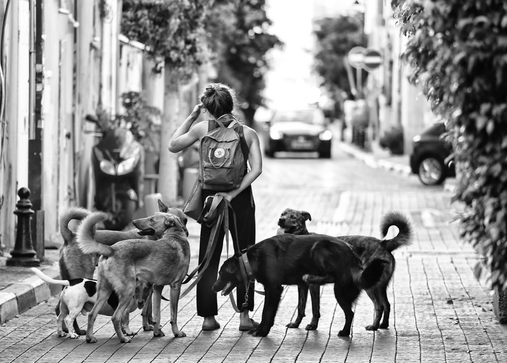 Photograph by yakov stavchansky