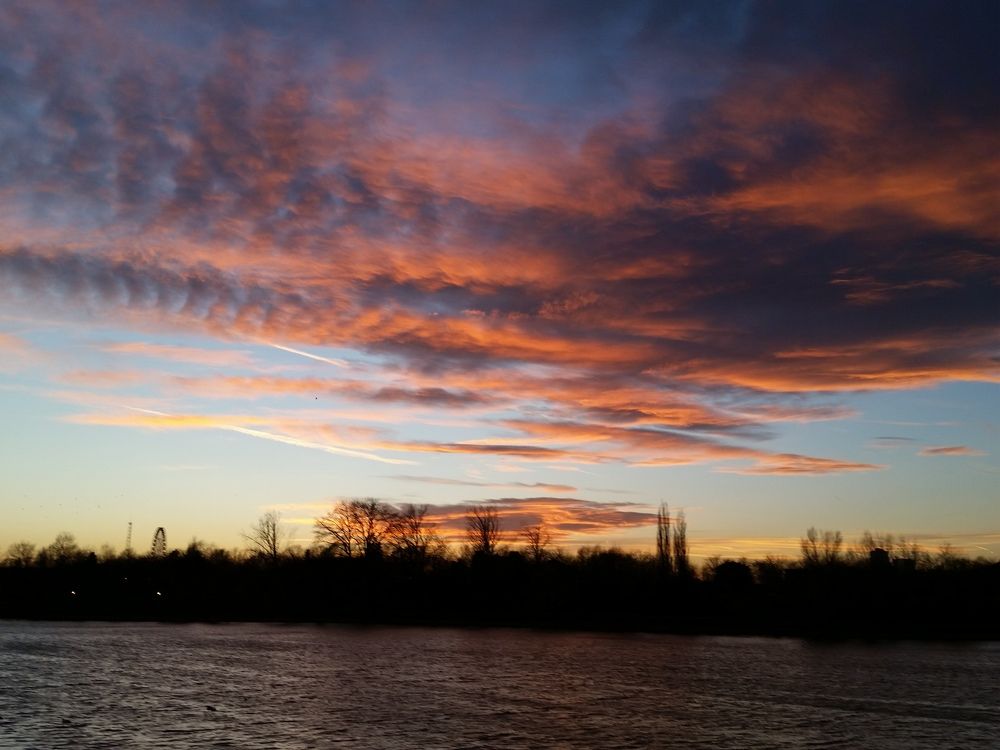 The sunset in Plumbuita park