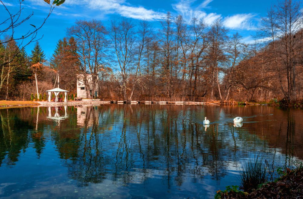 Photograph by Галина Суркова