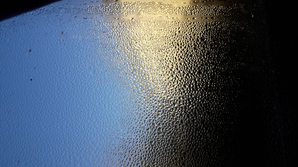 Mornning droplets
