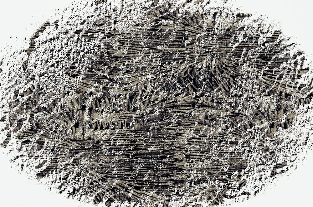 Photograph by Marius Žvikas