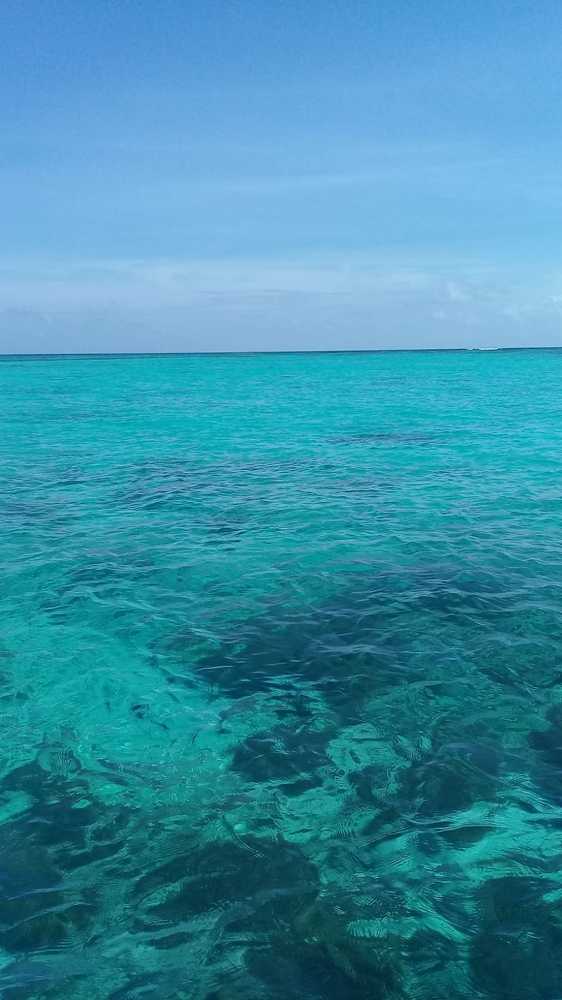 Fifty shades of blue