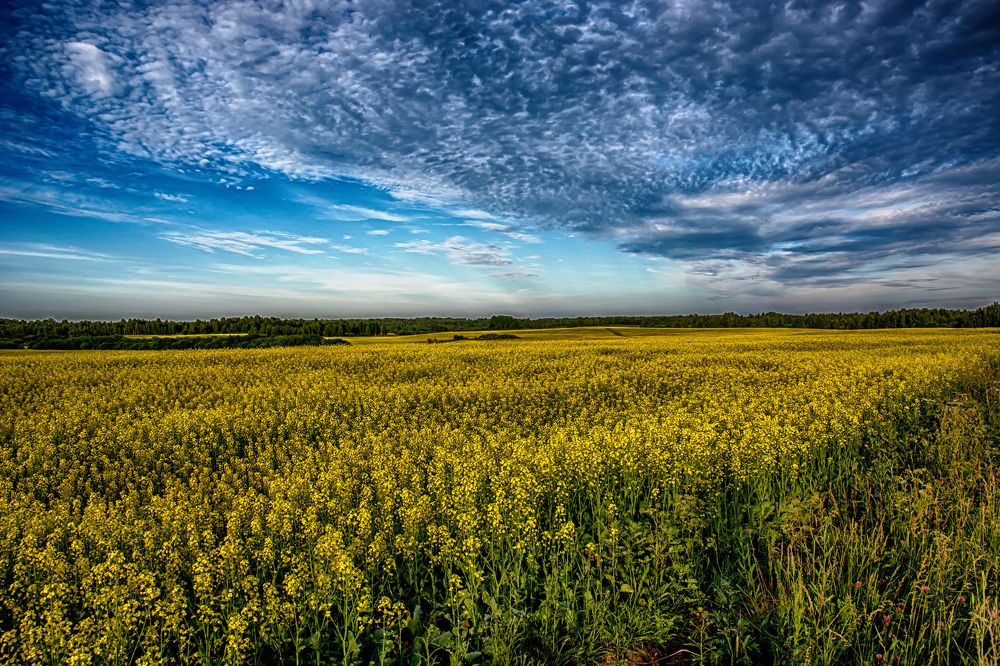 Photograph by Gaļina