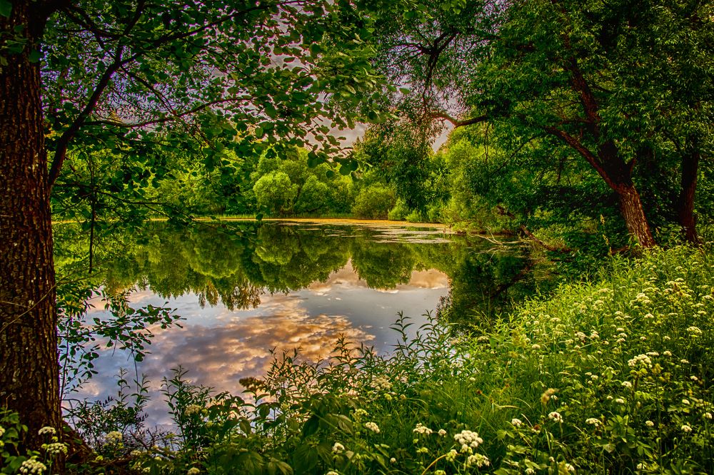 Photograph by Gaļina