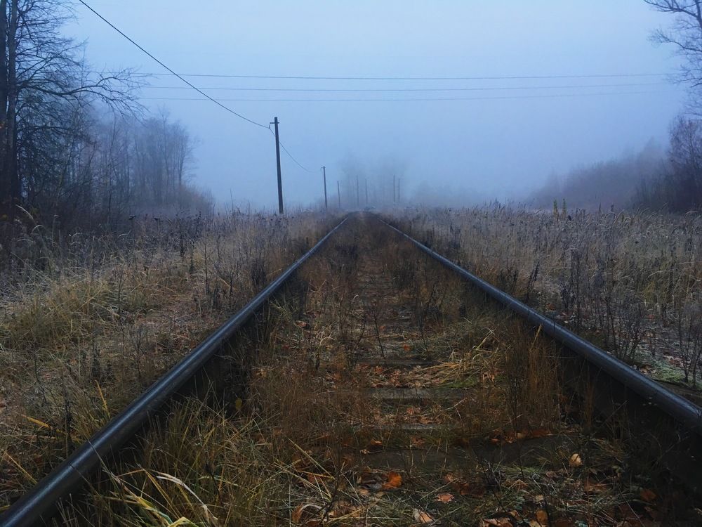 Путь в туманную даль