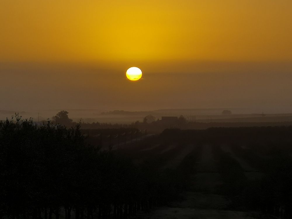 Nascer-do-sol com novoeiro