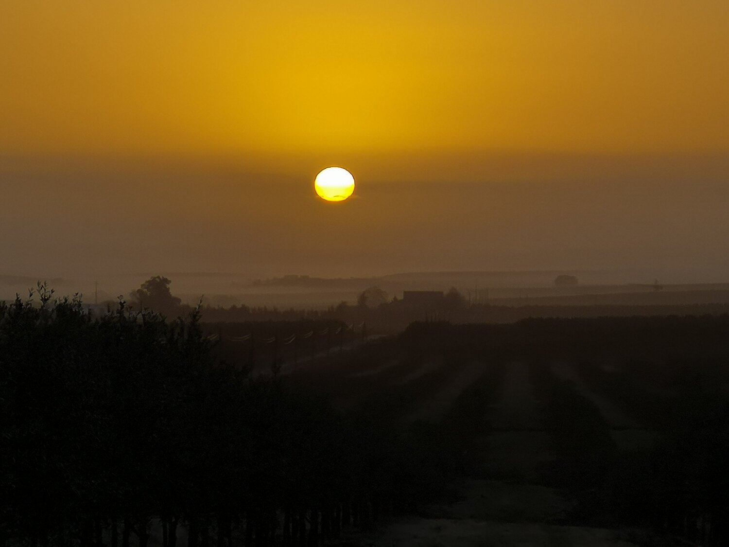 Nascer-do-sol com novoeiro