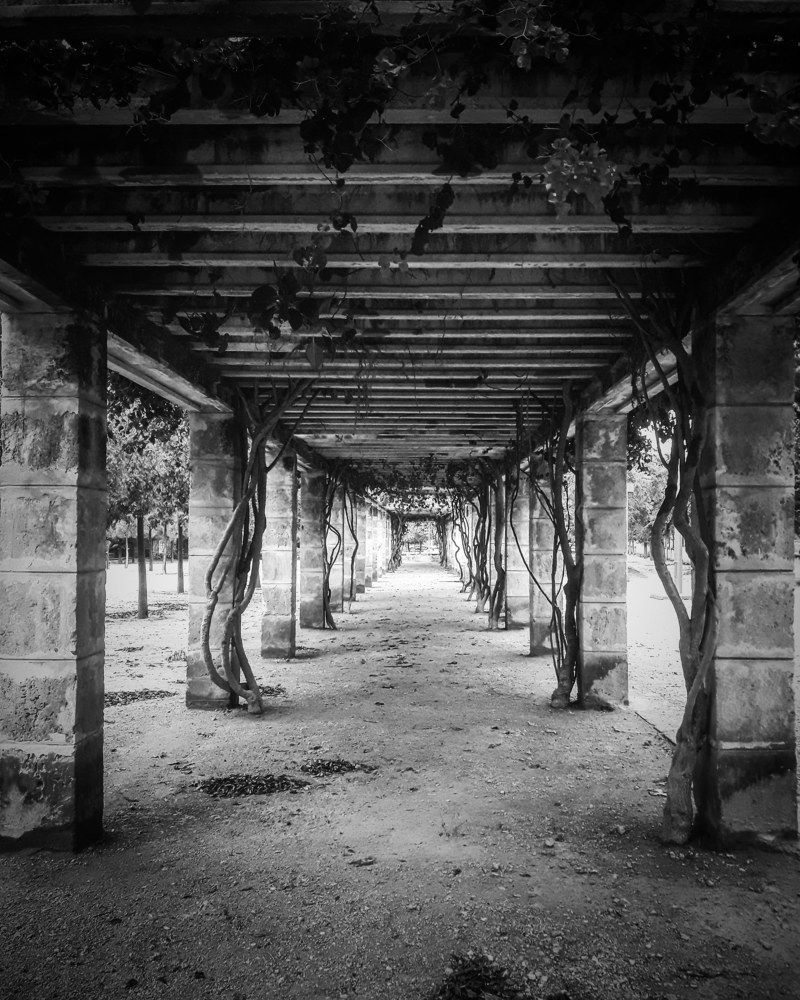 Look at the midle and enjoy the picture