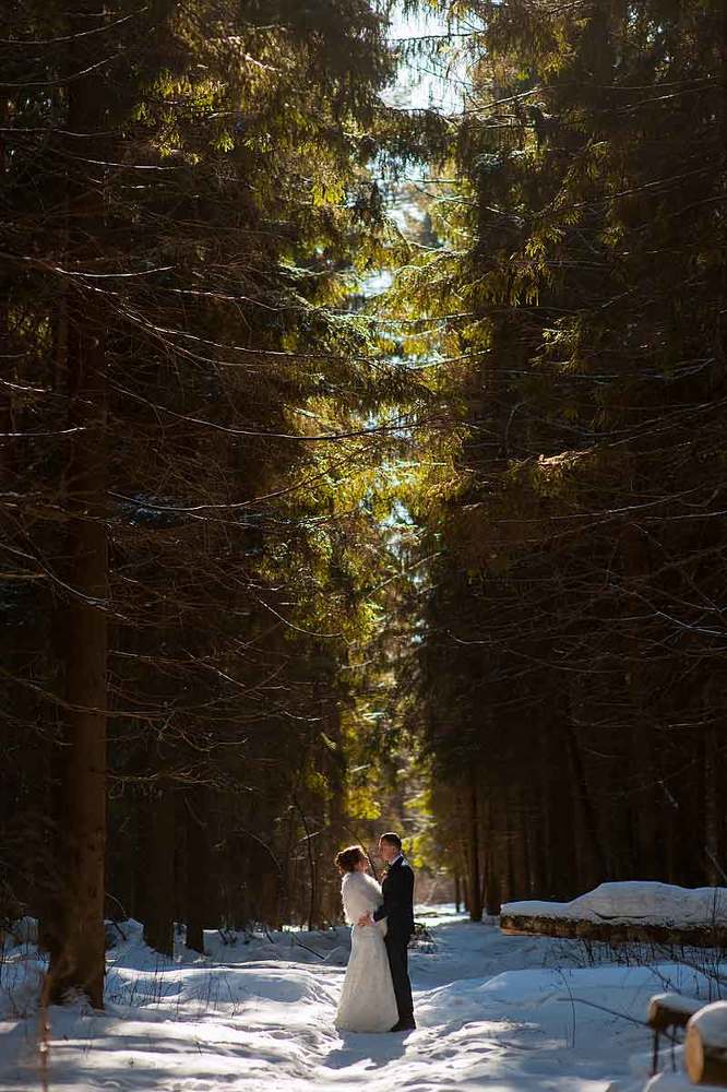 Photograph by Елисеева Алла