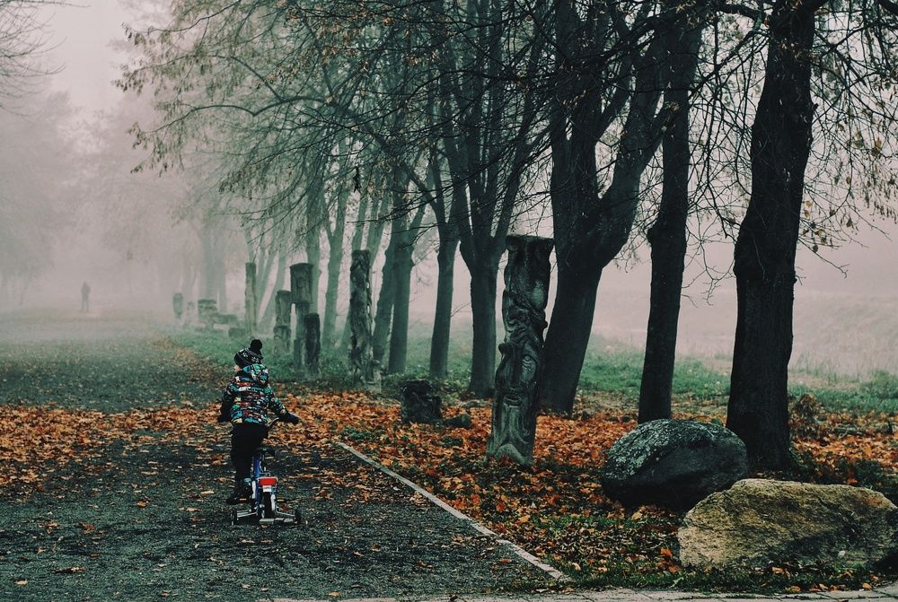 Photograph by Світлана