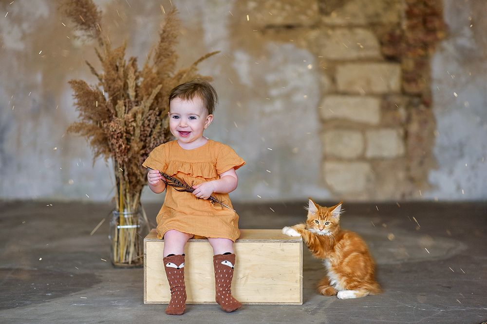 Рыжие друзья