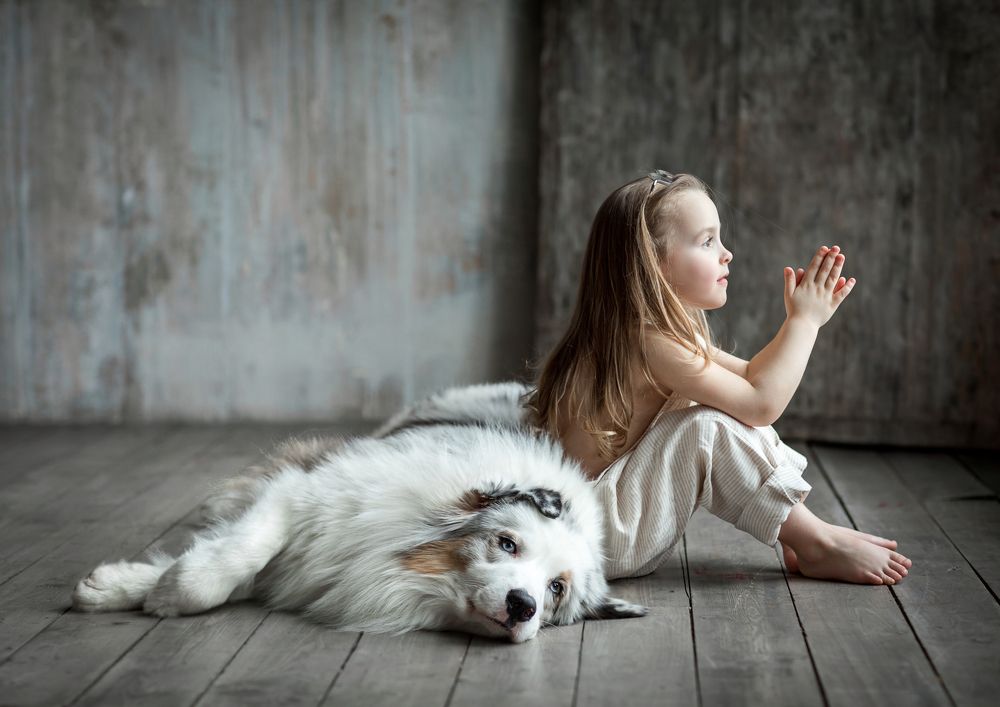 Фотография автора Анна Евгеньева