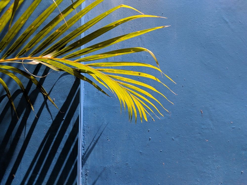 Contemplative Photography, Color,  Shadow