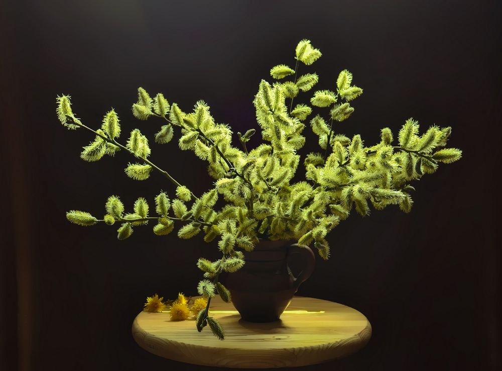 Уральская  "мимоза" ))