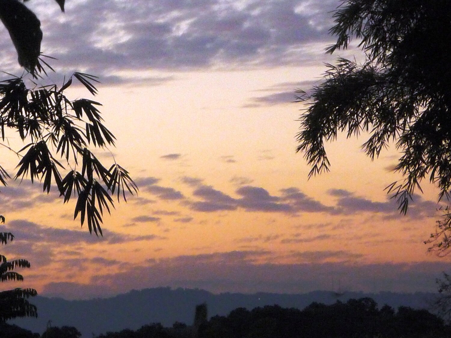 Atardecer