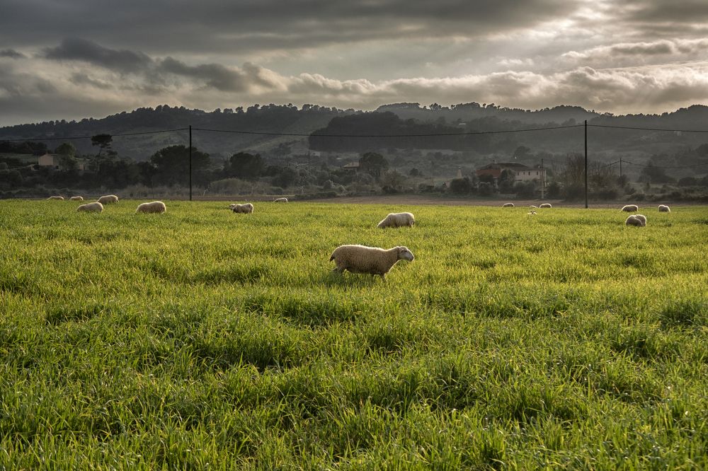 Без названия.