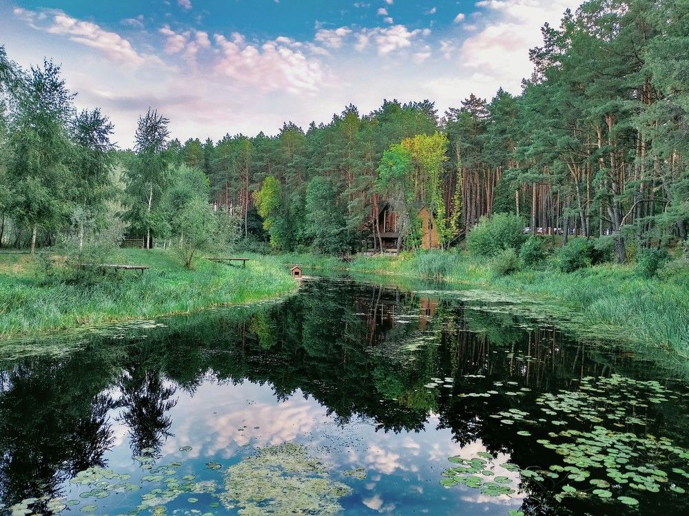 Красота природы