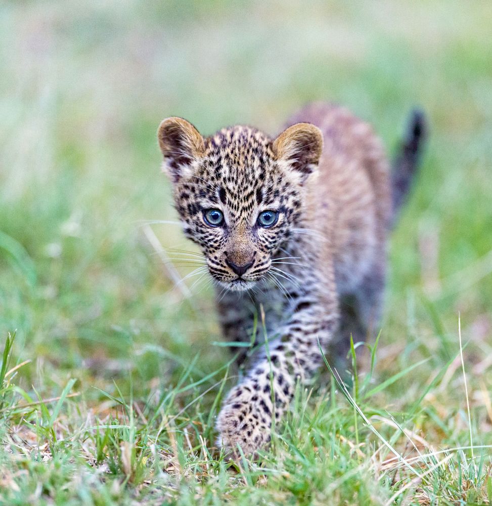 Discovering the world