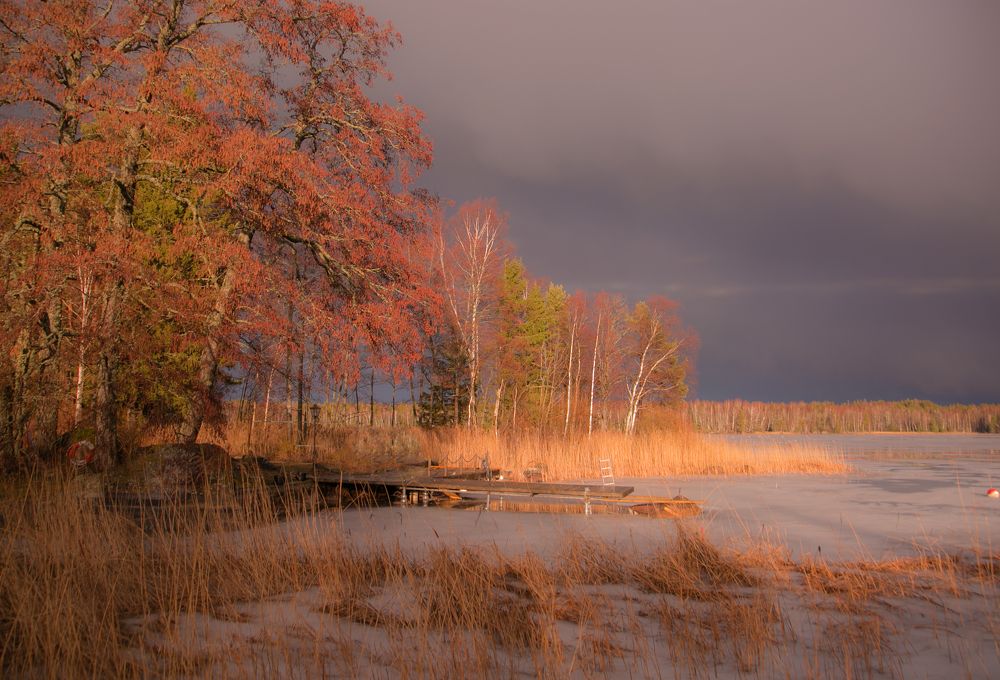 Вэллена свет