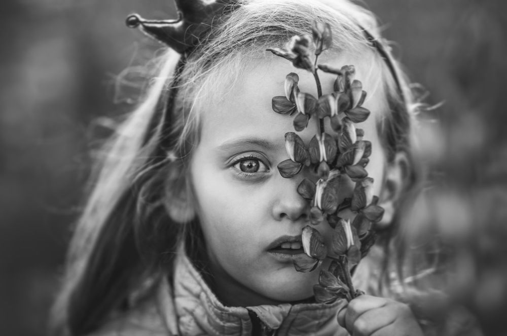 Фотография автора Сергей Гринис