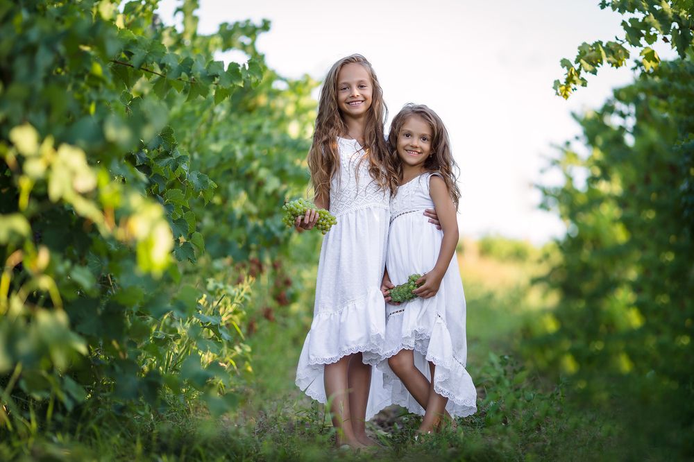 Сестры на винограднике