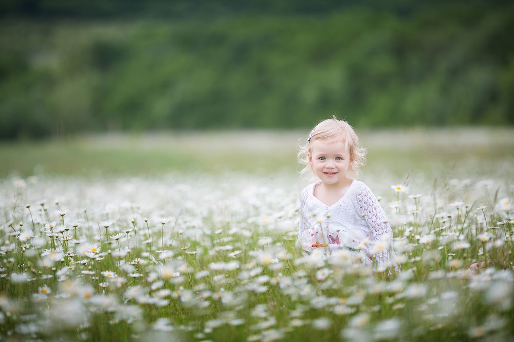Алиса и ромашки