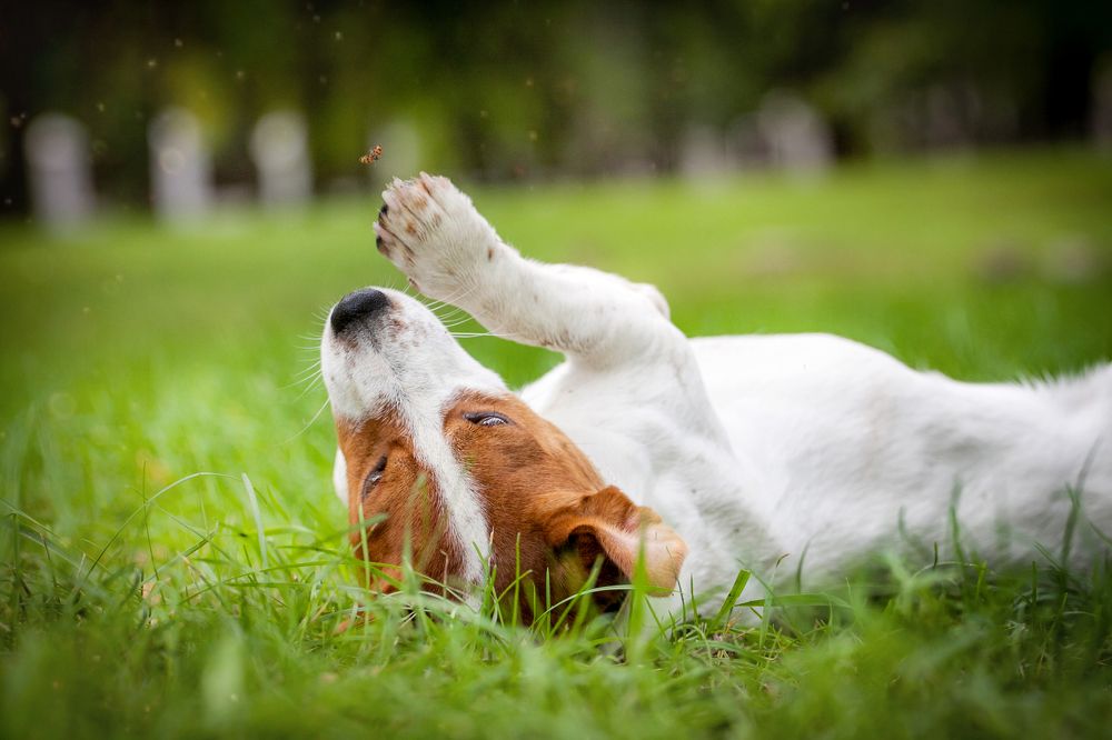 я вижу тебя