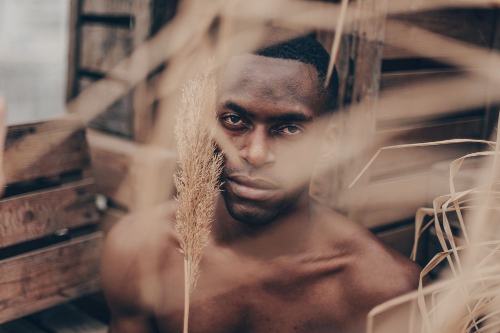 Мой друг, Анисио