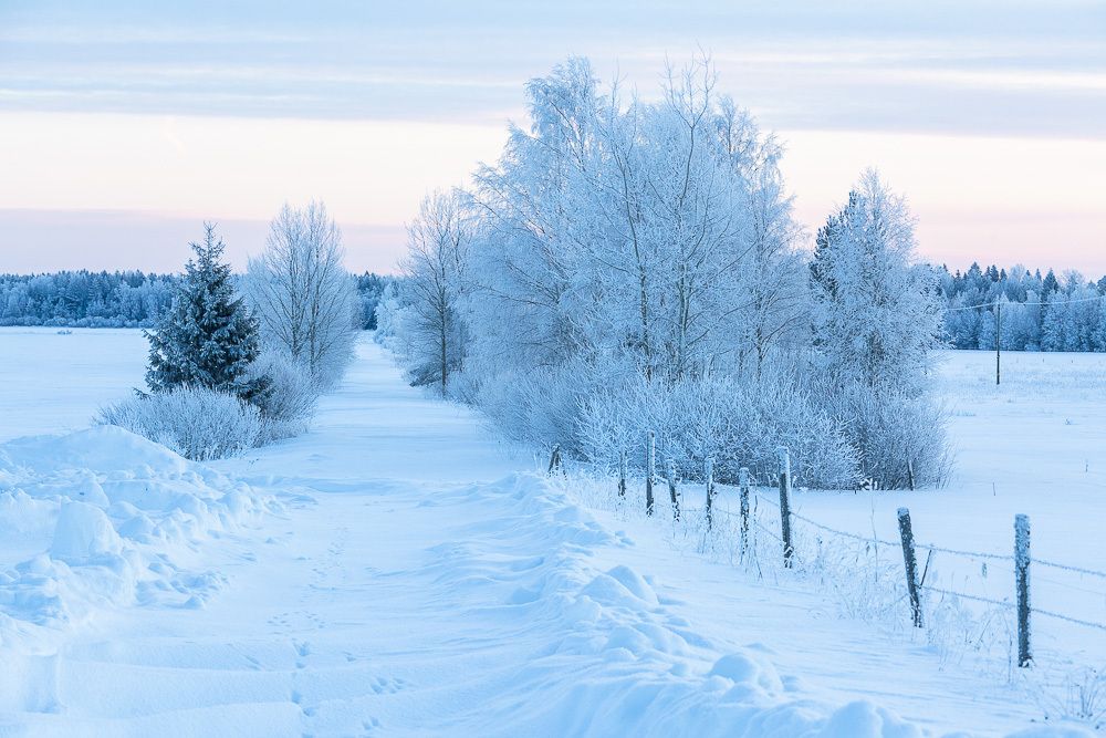 Photograph by Eriks Zilbalodis