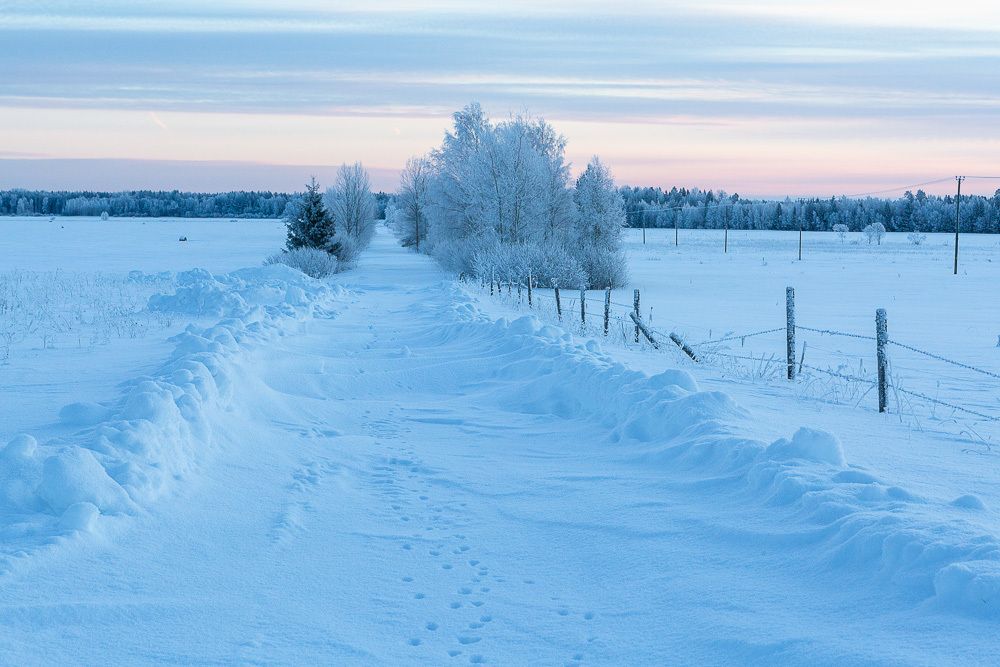 Photograph by Eriks Zilbalodis