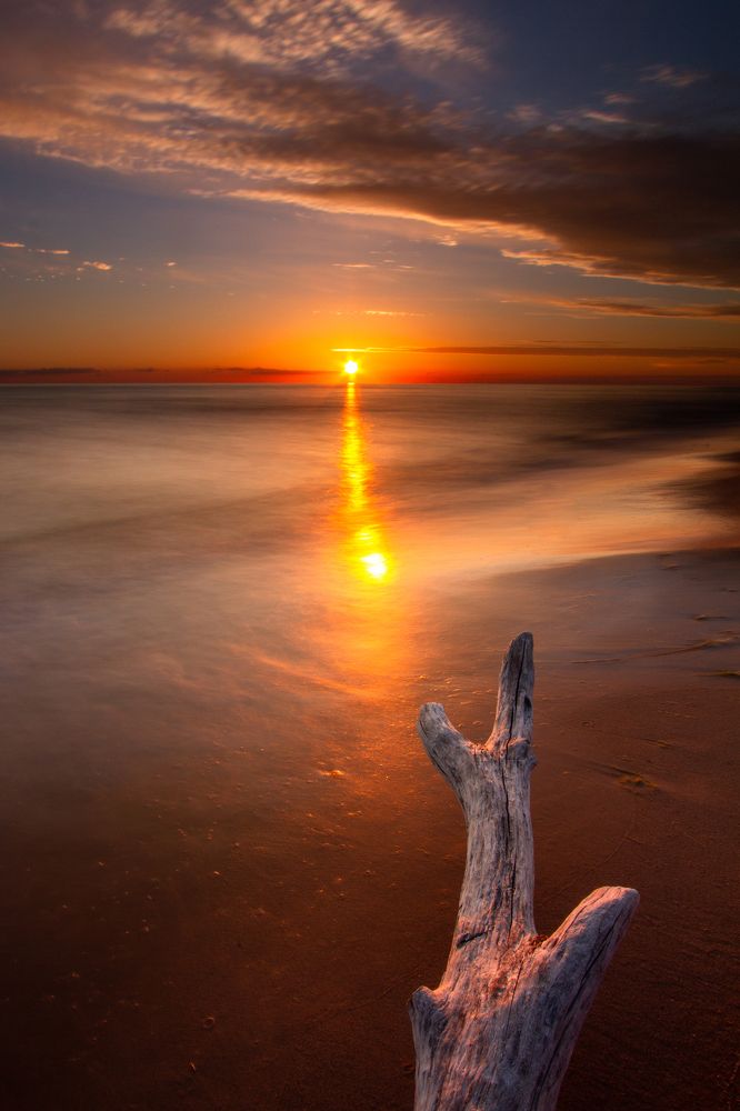 Photograph by Eriks Zilbalodis