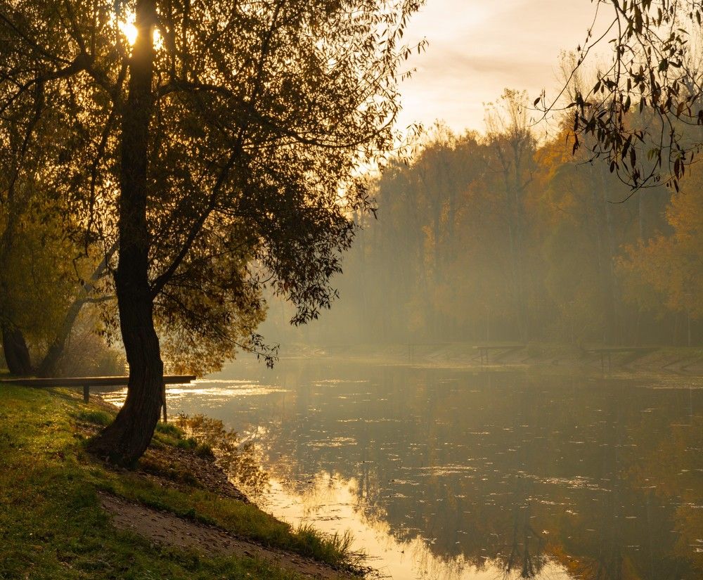 Осень