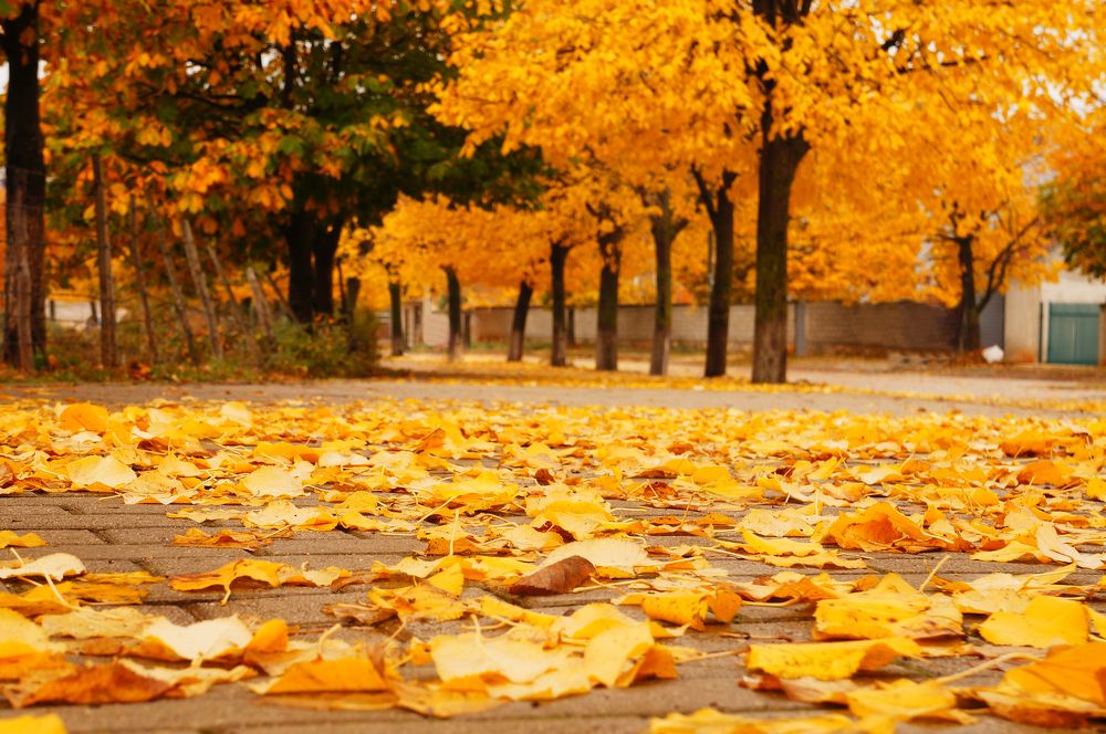Autumn in Kukes