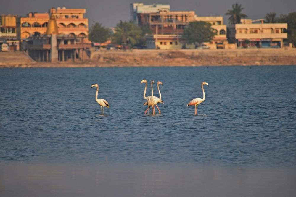 Nature story to Mythological story!