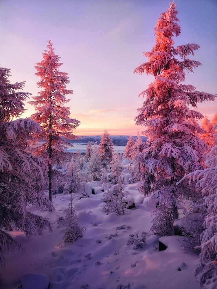 Утро в Якутии