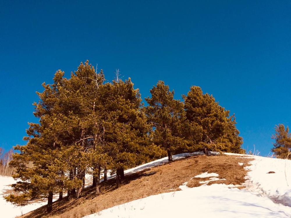 Photograph by Mamerkhanova Assiya