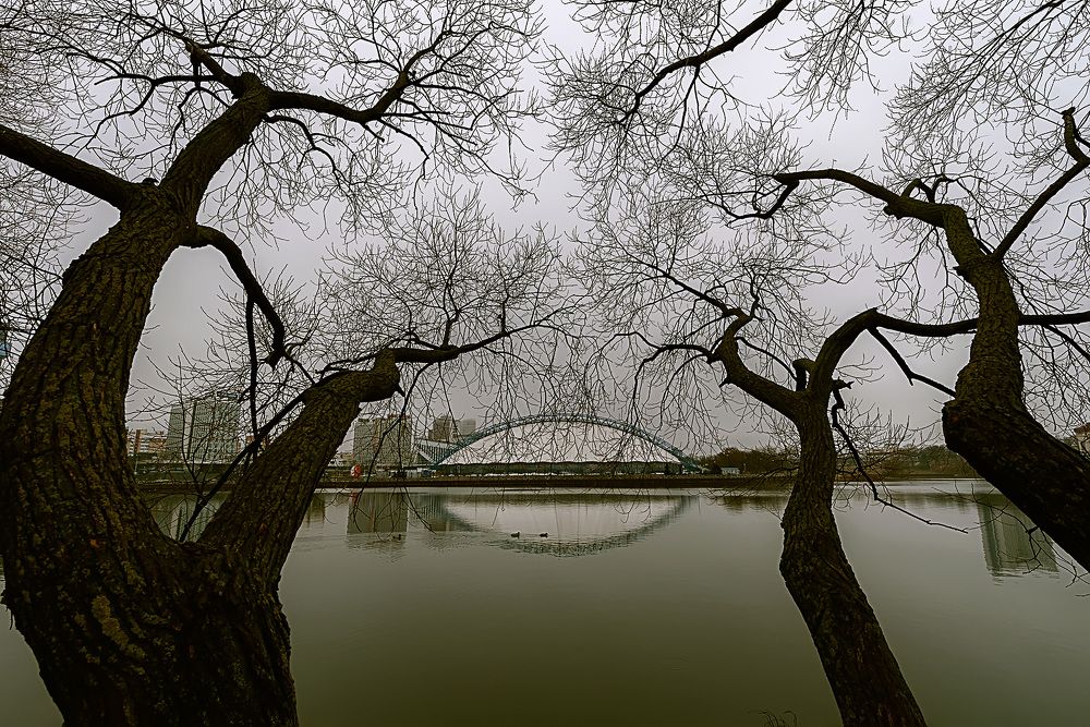 Люблю цябе, мой бераг родны... (с)