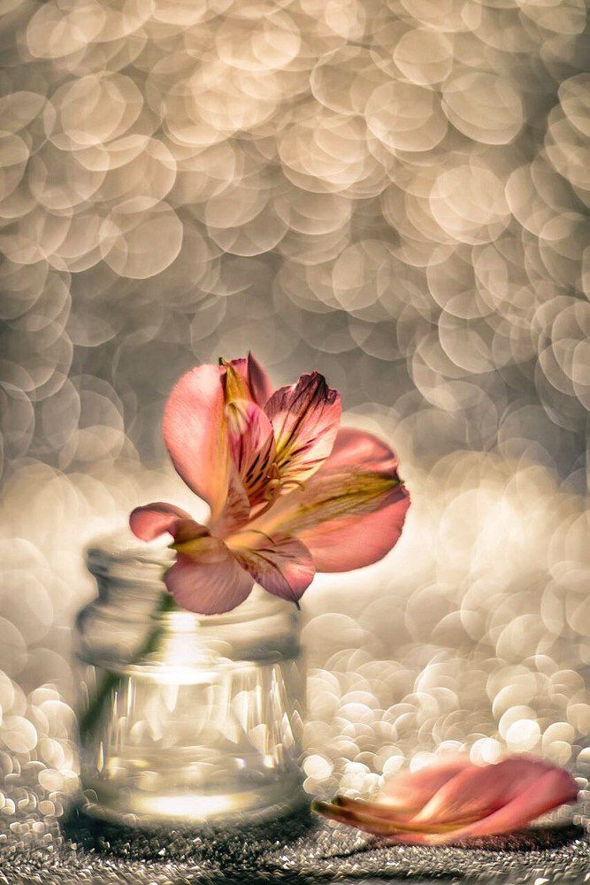 Фотография автора Андрей Сосновский