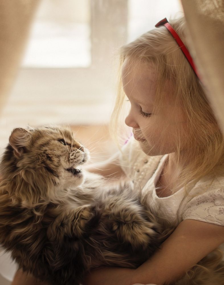 Photograph by Семёнова Ирина