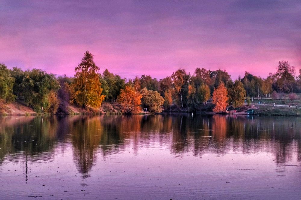 Митинопарк москва