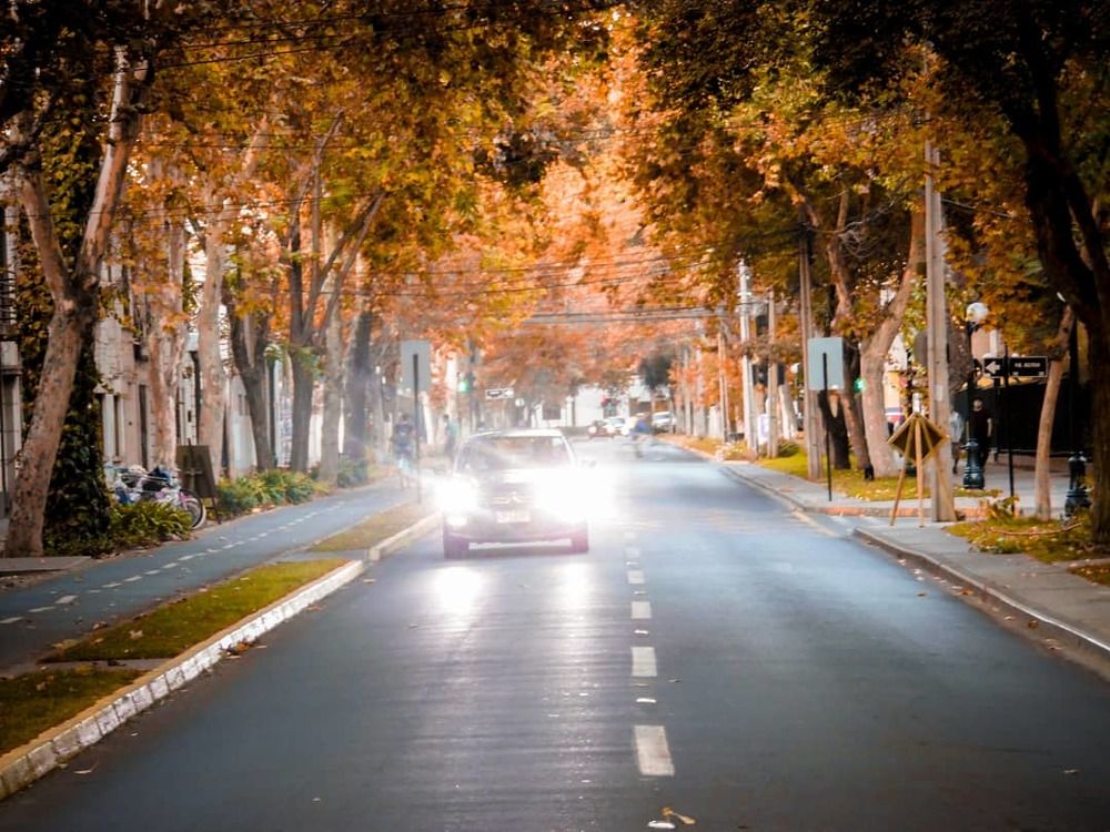 Tardes de Otoño
