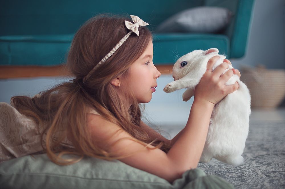 Мой милый друг